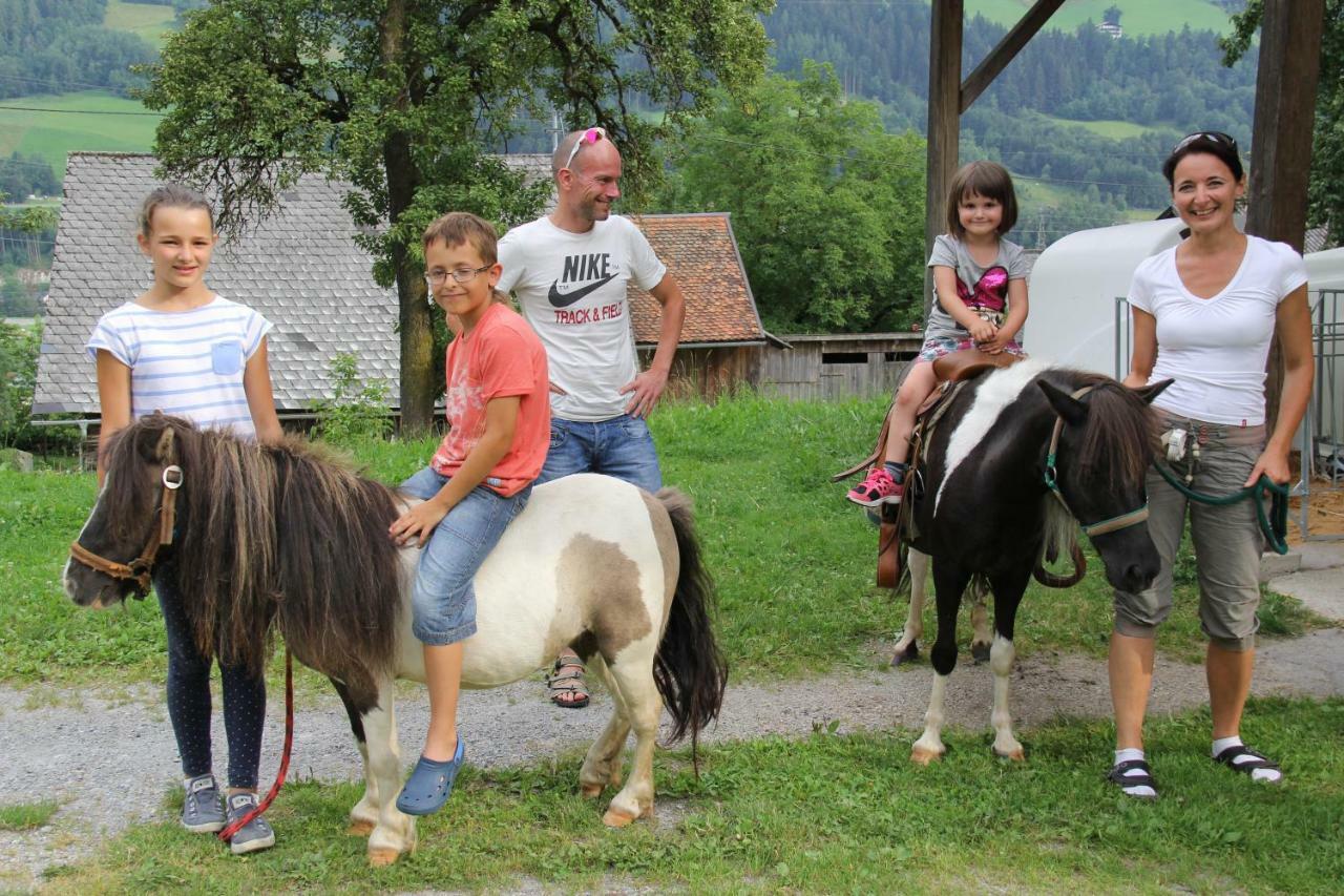 Bauernhof Feldlhof *